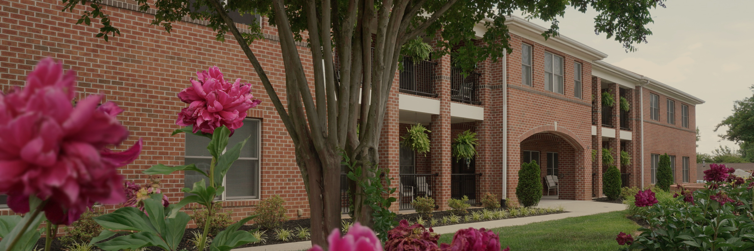 Flowers in front of building
