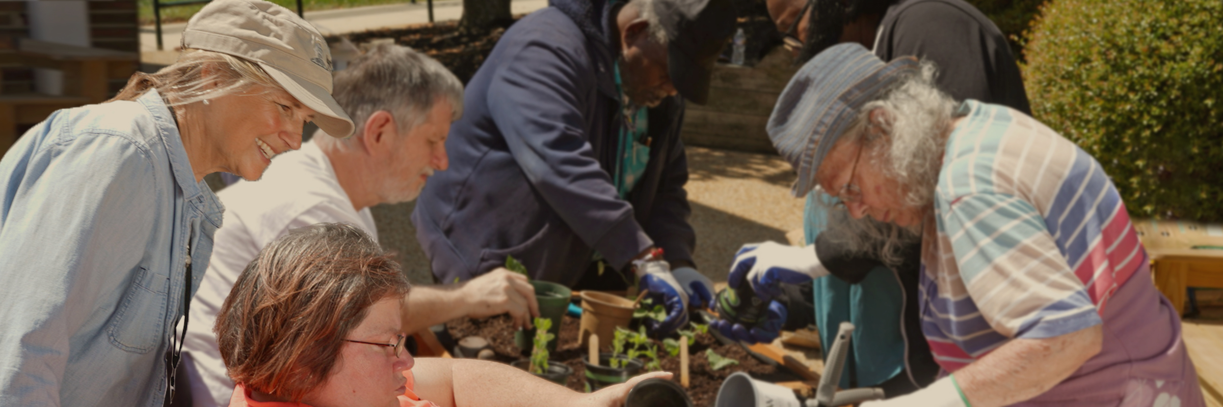 Group of people gardening