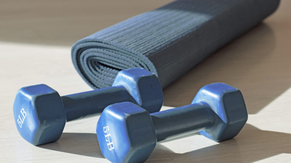 Two blue dumbbells and a yoga mat with shadows in the gym. Sport and fitness concept